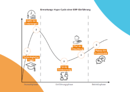 Mehr als nur ein Systemwechsel. ERP-Einführung. Bild: Erwartungs-Hype-Cycle einer ERP-Einführung